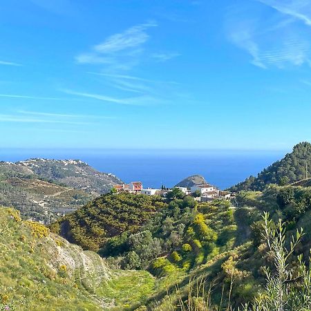 Villa Francisca Málaga Kültér fotó