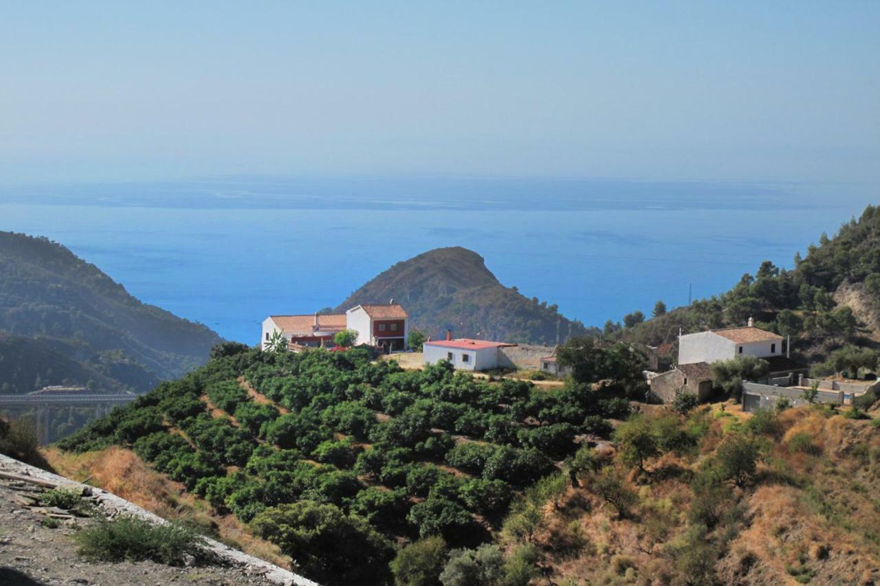 Villa Francisca Málaga Kültér fotó